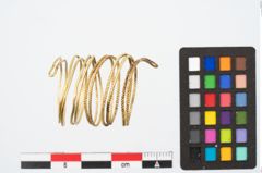 Foto von Goldspiralring (NHMW-PRAE-024767)